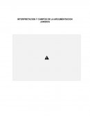 INTERPRETACION Y CAMPOS DE LA ARGUMENTACION JURIDICA
