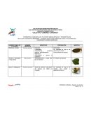 HERBARIO COMUNAL DE PLANTAS MEDICINALES Y AROMÁTICAS