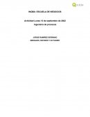 Ingenieria de procesos