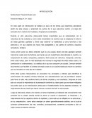 Ciudades y arquitectura sustentable