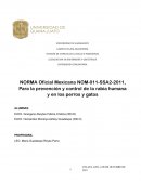 NORMA Oficial Mexicana NOM-011-SSA2-2011, Para la prevención y control de la rabia humana y en los perros y gatos