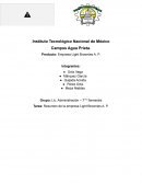 Producto: Empresa Light Brownies A. P.