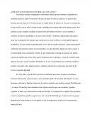 ¿Por qué los humanos controlan el planeta?