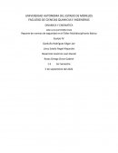Reporte de normas de seguridad en el Taller Multidisciplinario Básico