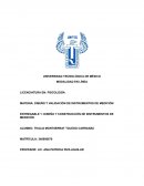 DISEÑO Y CONSTRUCCIÓN DE INSTRUMENTOS DE MEDICIÓN