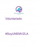 Guía Práctica del Voluntariado