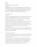 En torno a la labor educativa con la juventud