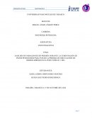 ANÁLISIS DE VARIACIONES DE PRESIÓN DURANTE LA CEMENTACIÓN DE POZOS PETROLEROS