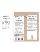 Fundamentos de la reaccion de Benedict y Fehling