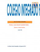 Elementos de la cultura humana