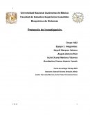 Bioquímica de Sistemas . Protocolo de investigación