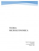 TEORIA MICROECONOMIA
