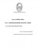 Algebra lineal. Tarea I: definición de matriz, notación y orden