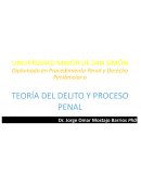 TEORÍA DEL DELITO Y PROCESO PENAL