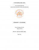 Conceptualización del término cultura