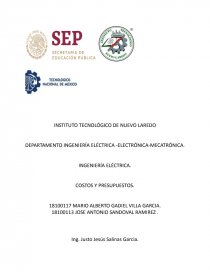 INGENIERÍA ELÉCTRICA. COSTOS Y PRESUPUESTOS. Página 1