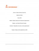 Diagnostico de Cultura y Clima Organizacional