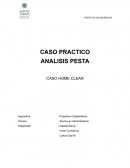 ANALISIS PESTA . CASO HOME CLEAN