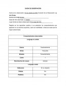 Guía de observación teoría practica