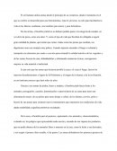 Evolución de las armas de caza