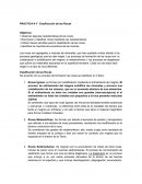PRACTICA N 1° Clasificación de las Rocas