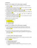 Cuestionario plan de cuentas