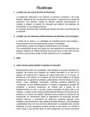 ¿Cuáles son las claves de éxito de Rusticae?