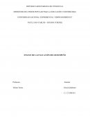 Evaluación del desempeño