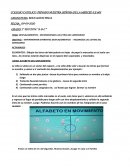 DESPLAZAMIENTOS – RECONOCIENDO LAS LETRAS DEL ABECEDARIO