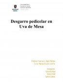 Trabajo post-cosecha