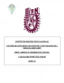 Trabajo de investigacion fisica 1