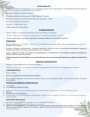 Derecho constitucional mexicano INFORMACION REDUCIDA