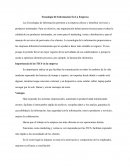 Tecnología de Información en la empresa