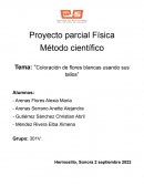 Coloración de flores blancas usando sus tallos