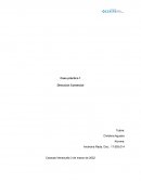 Caso práctico 1 Dirección Comercial