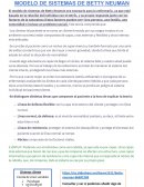 MODELO DE SISTEMAS DE BETTY NEUMAN