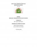 ORIGENES DE LA DINAMICA DE GRUPO