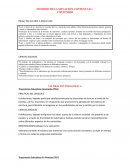 Informes boletin, segundo cuatrimestre. 1er grado