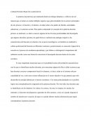 ENSAYO CONCEPTO DE PRACTICA DOCENTE