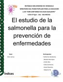 El estudio de la salmonella para la prevención de enfermedades