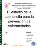 El estudio de la salmonella para la prevención de enfermedades