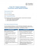 Trabajo Colaborativo. Conociendo nuestro equipo de trabajo