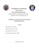 REPORTE DE ACTIVIDADES DE PRACTICA BASICA DEL DESARROLLO INFANTIL