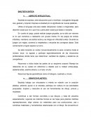 Informe de progreso escolar