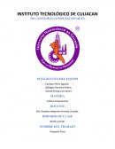 Cultura empresarial “DsoftX”