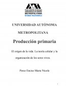 El origen de la vida. La teoría celular y la organización de los seres vivos