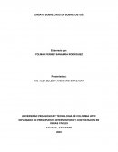 Ensayo sobre caso de sobrecostos