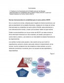 Normas internacionales de contabilidad para el sector público NICSP