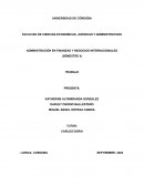 Administración en finanzas y negocios internacionales
