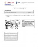 Principios de organizaicon